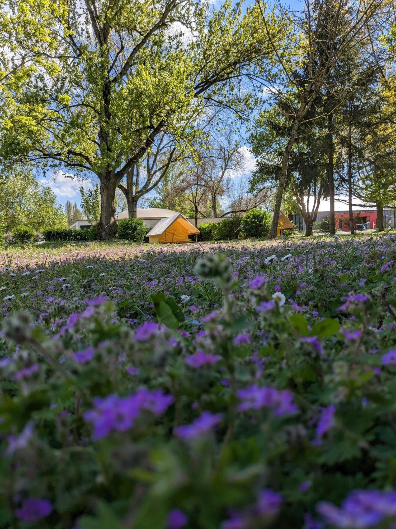 Camping Onlycamp Tours Val De Loire Saint-Avertin Kültér fotó